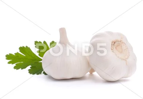 Garlic bulb Stock Photos