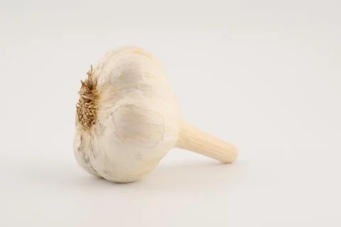 Garlic bulb Stock Photos
