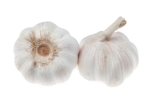 Garlic bulb Stock Photos
