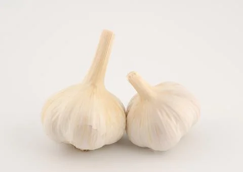 Garlic bulb Stock Photos