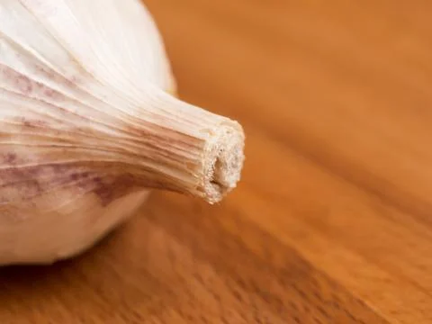Garlic bulb Stock Photos