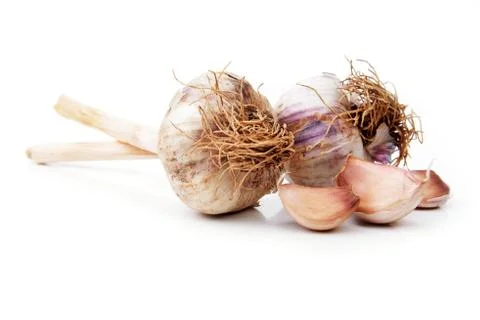 Garlic bulb Stock Photos