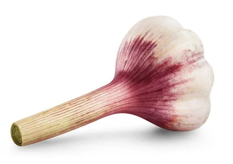 Garlic bulb Stock Photos