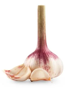 Garlic bulb Stock Photos