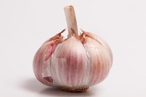 Garlic bulb Stock Photos
