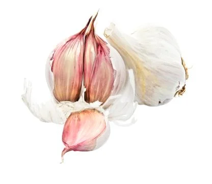 Garlic bulb Stock Photos