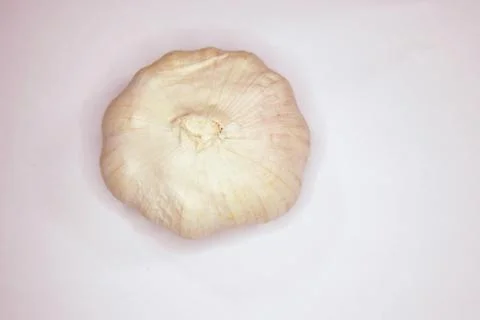 Garlic bulb Foto stock