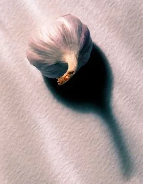 GARLIC BULB Stock Photos