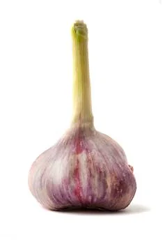 Garlic bulb Stock Photos