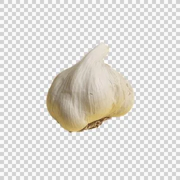 Garlic bulb Stock Photos