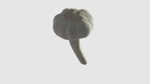 A garlic bulb rotates 360 degrees on its horizontal axis Stock Footage 182847130