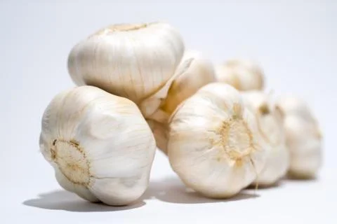 Garlic Bulb on White Background. Stock-Fotos