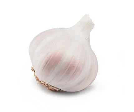 Garlic bulb on white Stock Photos