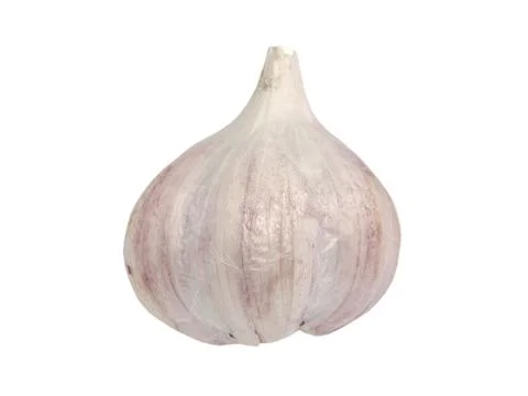 Garlic bulb.isolated. Foto stock