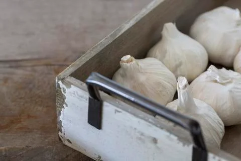 Garlic bulbs in box Stock Photos