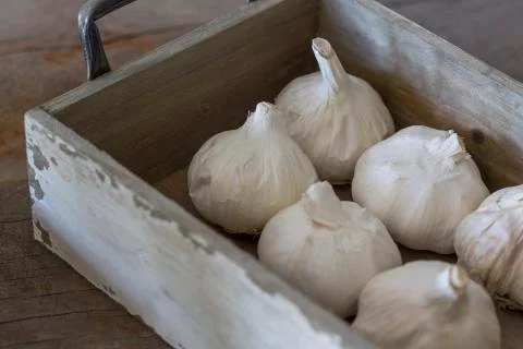 Garlic bulbs in box Stock Photos