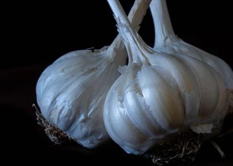 Garlic bulbs close up Stockfoto's