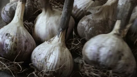 Garlic Bulbs Stock Footage 138762156