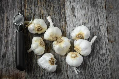 Garlic bulbs with garlic press on rustic wood background Stock Photos