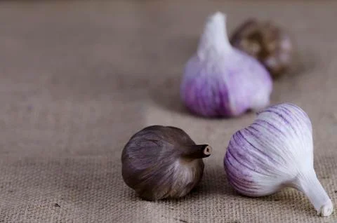 Garlic bulbs Stock Photos