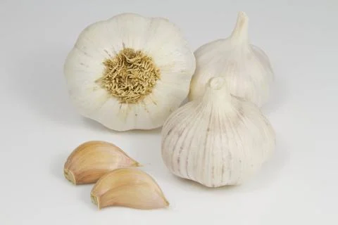 Garlic Bulbs Stock Photos