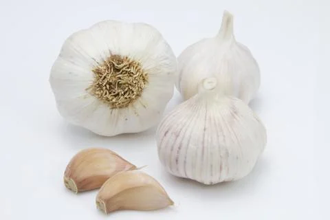 Garlic Bulbs Stock Photos