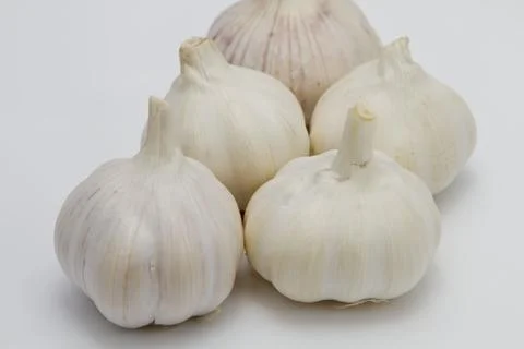Garlic Bulbs Foto stock