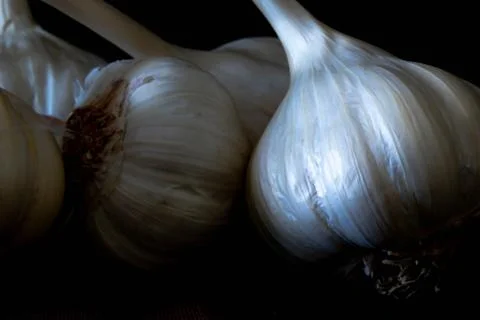 Garlic Bulbs Stockfoto's
