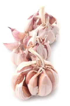 Garlic Bulbs Stock Photos
