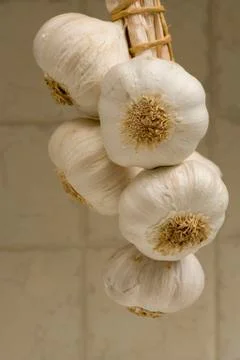 Garlic bulbs Stock Photos
