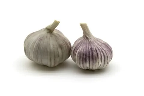 Garlic bulbs Stock Photos