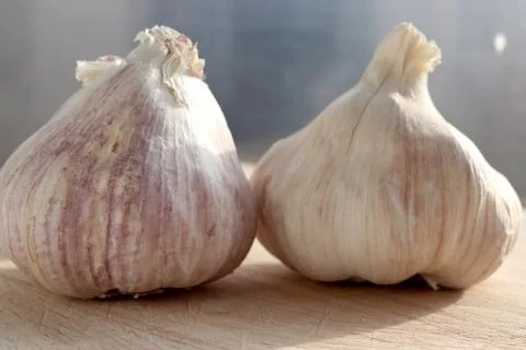 Garlic Bulbs Stock Photos