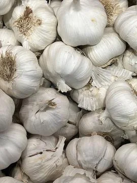 Garlic Bulbs Stock Photos