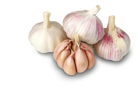 Garlic bulbs on white background. Stock Photos