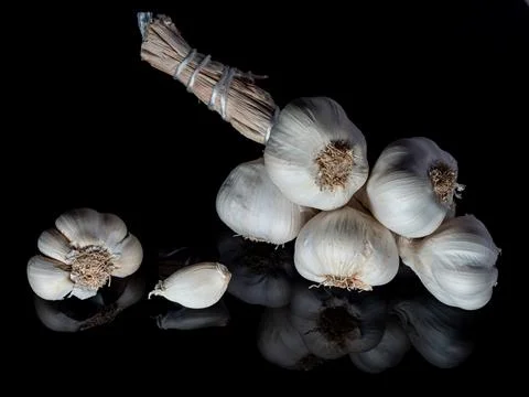 Garlic in a bunch on a black background in the reflection in the base, a he.. Stock Photos