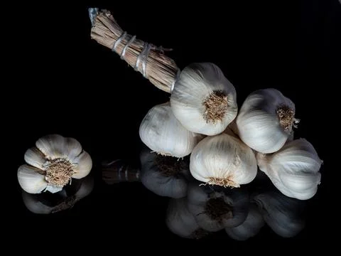Garlic in a bunch on a black background in the reflection in the base, a he.. Stock Photos
