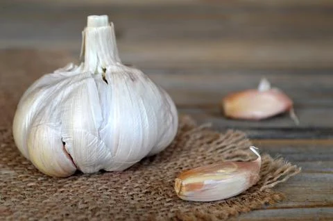Garlic on canvas background Stock Photos