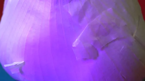Garlic in changing colors Video stock 141722068