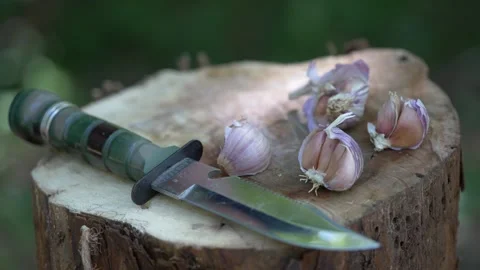 Garlic chopped on a stump of a tree in the forest Stock Footage 160861727