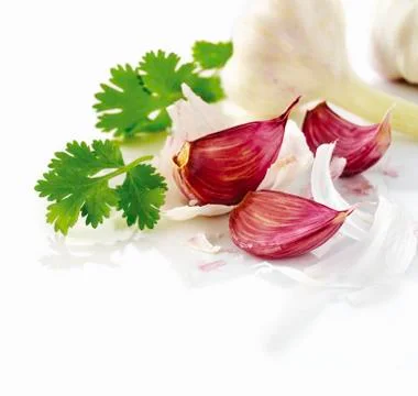 Garlic with cilantro Stock Photos