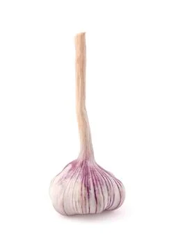 Garlic with clipping path Stock Photos