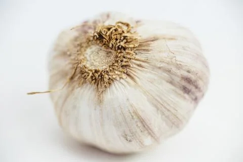 GARLIC CLOSE UP Stock Photos