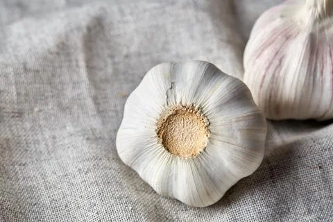 Garlic close up on rustic background, shallow depth of field, selective focus Stock Photos