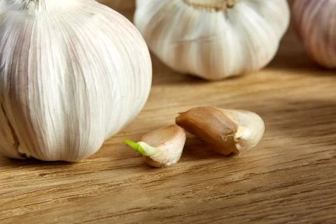 Garlic close up on rustic wooden background, shallow depth of field, selective Stock Photos