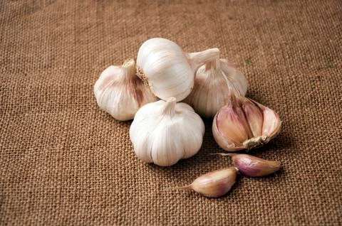 Garlic close-up on sacking. burlap background Stock Photos