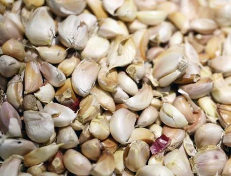 Garlic closeup Stock Photos