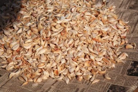 Garlic cloves Stock Photos