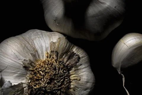 Garlic Cloves Stock Photos