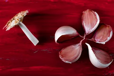 Garlic cloves on the surface red. Stock Photos