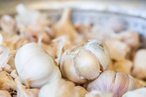 Garlic on the container Stock Photos